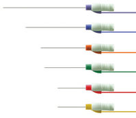 EMG Nadeln zur EMG geführten Injektion
